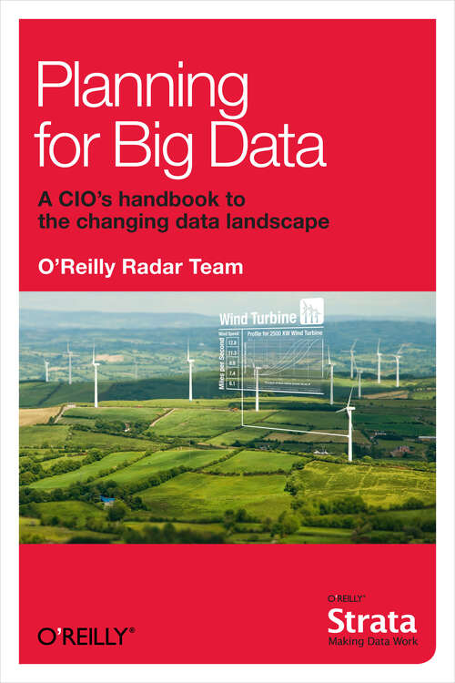 Book cover of Planning for Big Data (1)