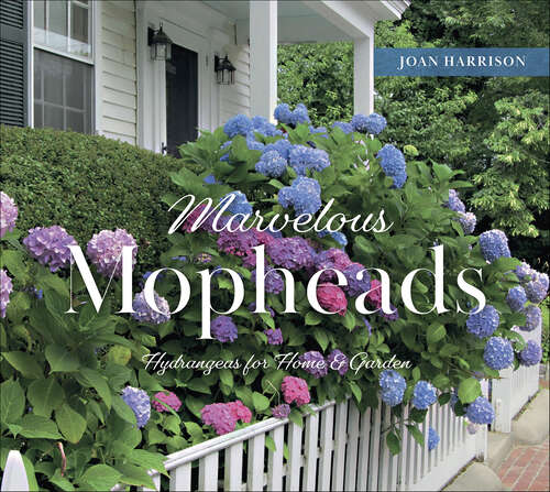 Book cover of Marvelous Mopheads: Hydrangeas for Home & Garden