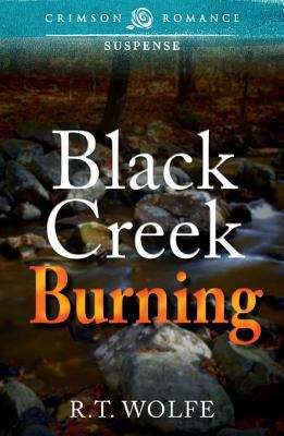 Book cover of Black Creek Burning