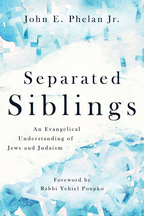 Book cover of Separated Siblings: An Evangelical Understanding of Jews and Judaism