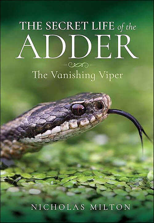 Book cover of The Secret Life of the Adder: The Vanishing Viper