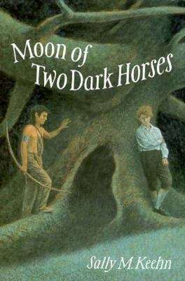 Book cover of Moon of Two Dark Horses