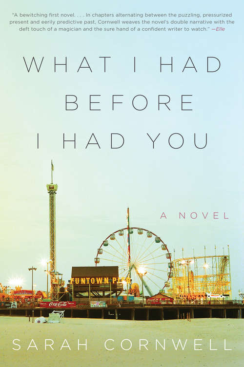 Book cover of What I Had Before I Had You