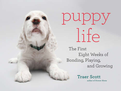 Book cover of Puppy Life: The First Eight Weeks of Bonding, Playing, and Growing