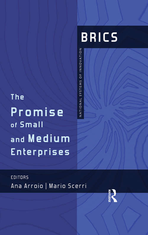 Book cover of The Promise of Small and Medium Enterprises: BRICS National Systems of Innovation