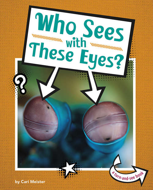 Book cover of Who Sees With These Eyes? (Whose Is This?)