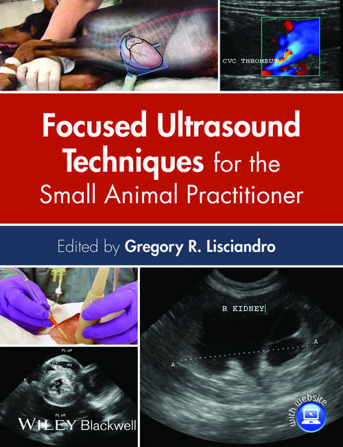 Book cover of Focused Ultrasound Techniques for the Small Animal Practitioner