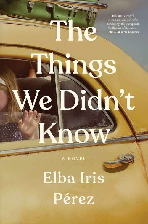 Book cover of The Things We Didn't Know