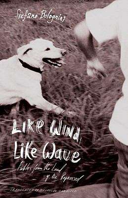 Book cover of Like Wind, Like Wave: Fables from the Land of the Repressed