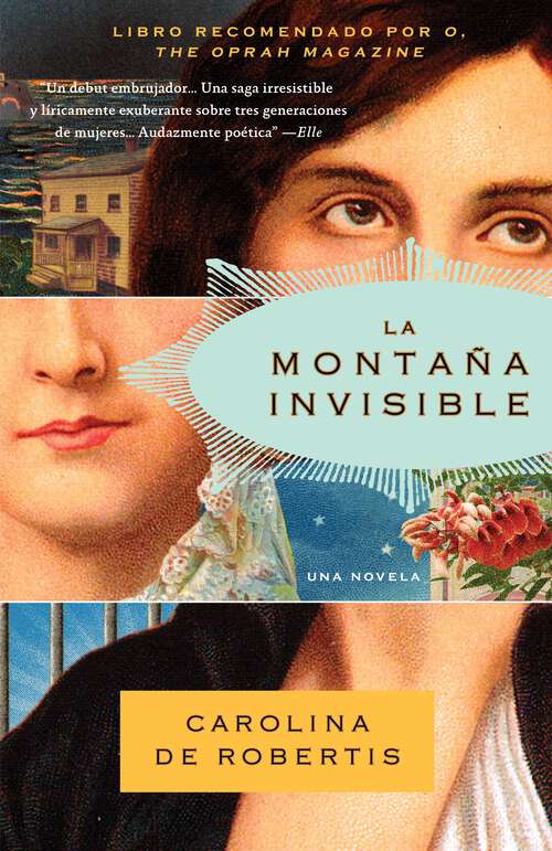 Book cover of La montana invisible