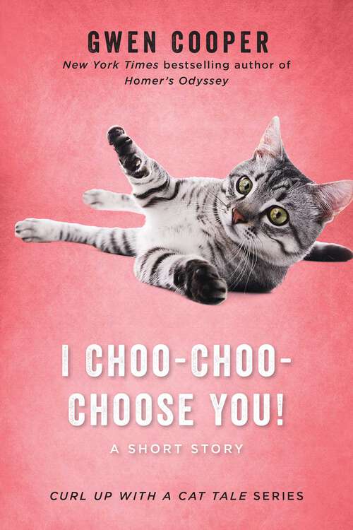 Book cover of I Choo-Choo-Choose You!: A Short Story