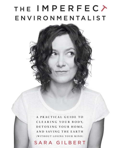 Book cover of The Imperfect Environmentalist