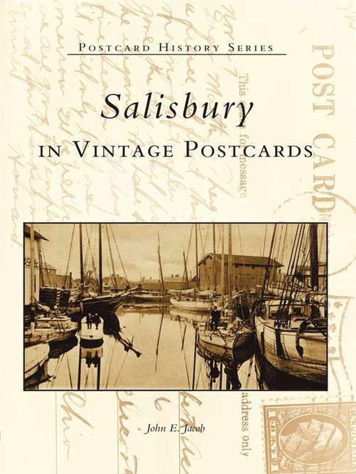 Book cover of Salisbury in Vintage Postcards (Postcard History)