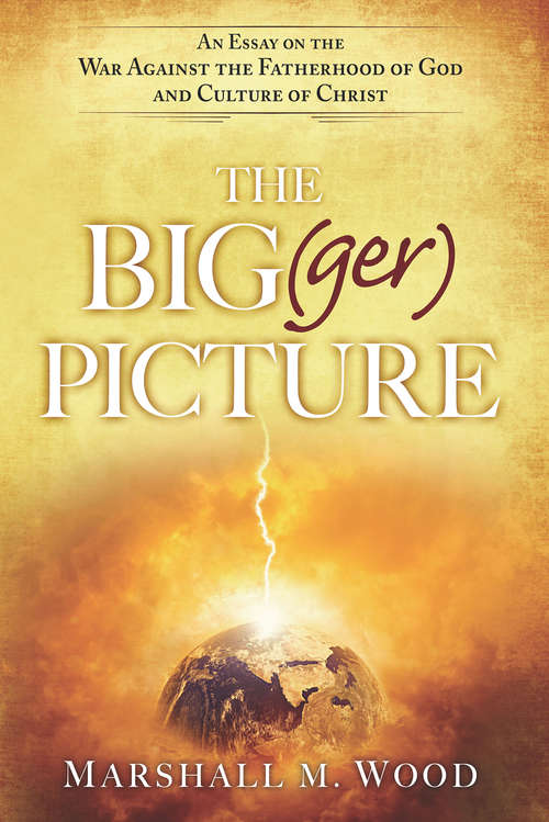 Book cover of The Big(ger) Picture: An Essay on the War Against the Fatherhood of God and Culture of Christ