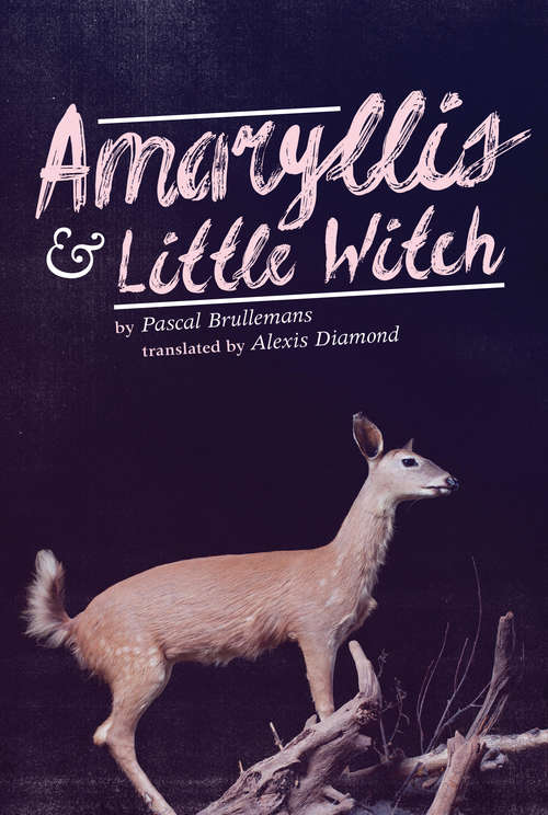 Book cover of Amaryllis & Little Witch