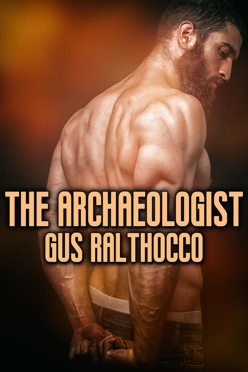 Book cover of The Archaeologist