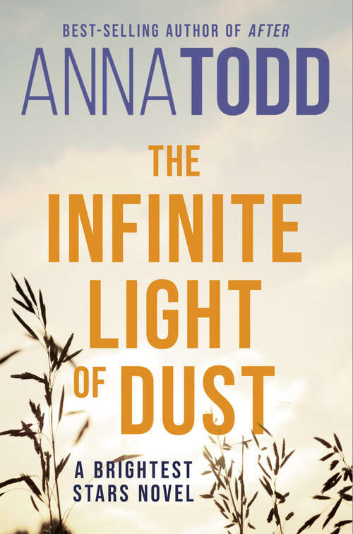 Book cover of The Infinite Light of Dust