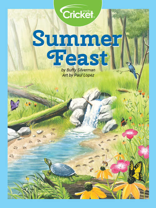 Book cover of Summer Feast