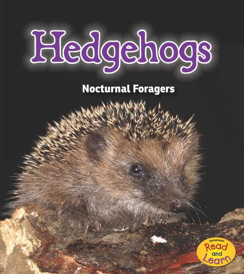 Book cover of Hedgehogs