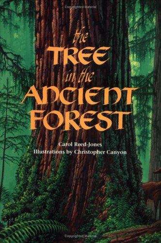 Book cover of The Tree In The Ancient Forest