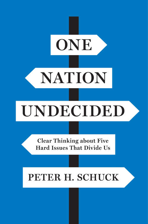 Book cover of One Nation Undecided: Clear Thinking about Five Hard Issues That Divide Us