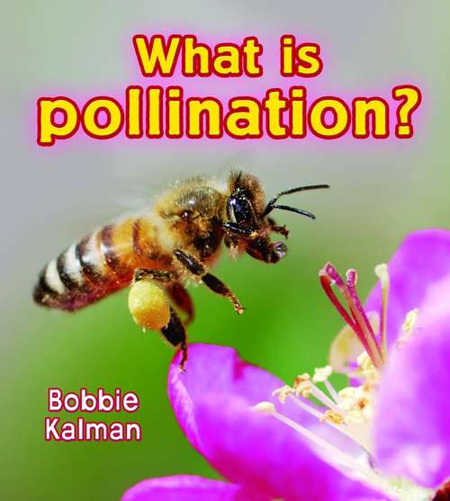 Book cover of What is Pollination? (Big Science Ideas #13)
