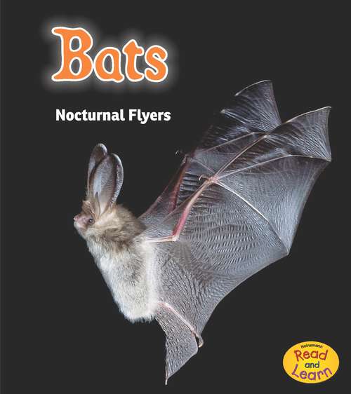 Book cover of Bats