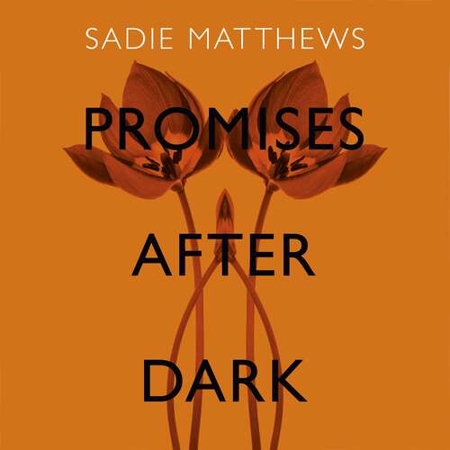 Book cover of Promises After Dark: After Dark Book Three (After Dark)