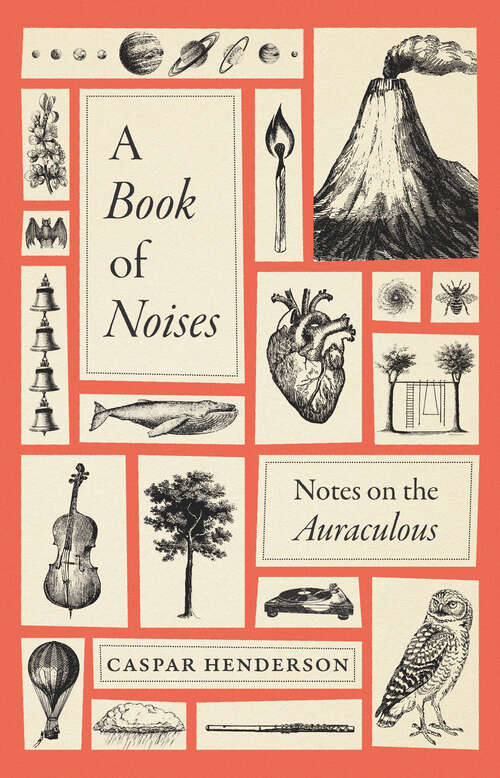Book cover of A Book of Noises: Notes on the Auraculous