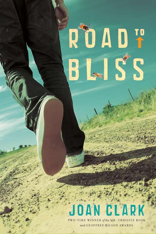 Book cover of Road to Bliss