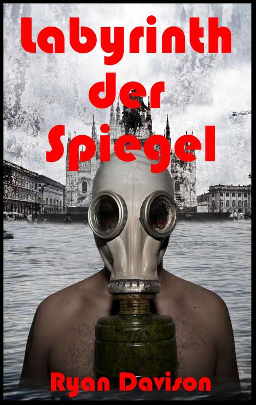 Book cover of Labyrinth der Spiegel