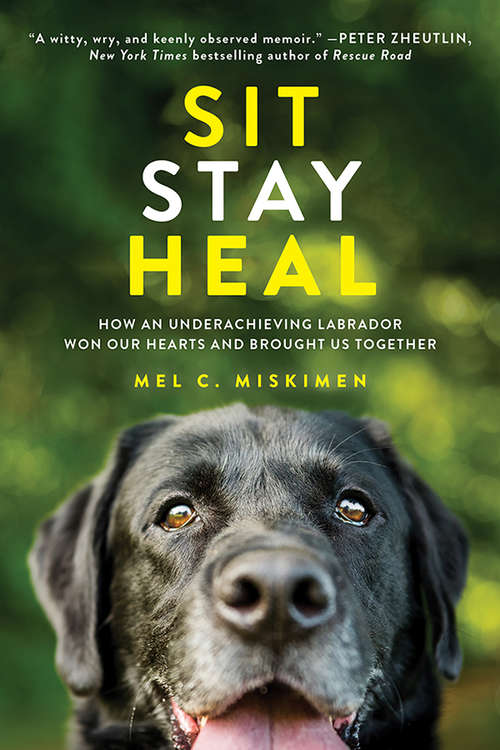 Book cover of Sit Stay Heal: How an Underachieving Labrador Won Our Hearts and Brought Us Together