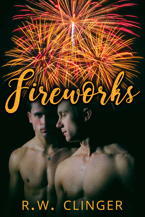 Book cover of Fireworks