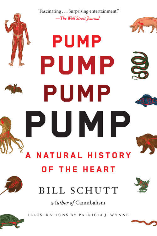 Book cover of Pump: A Natural History of the Heart