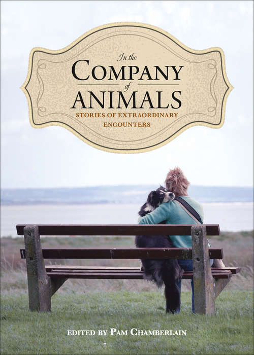 Book cover of In the Company of Animals: Stories of Extraordinary Encounters