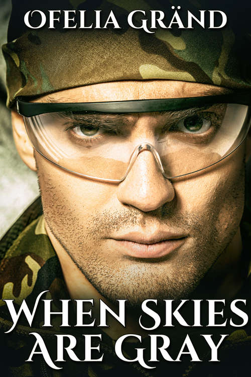 Book cover of When Skies Are Gray