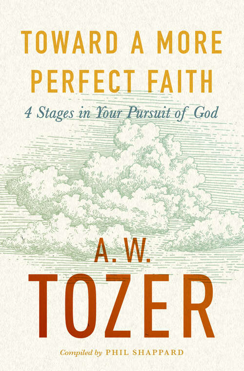 Book cover of Toward a More Perfect Faith: 4 Stages in Your Pursuit of God