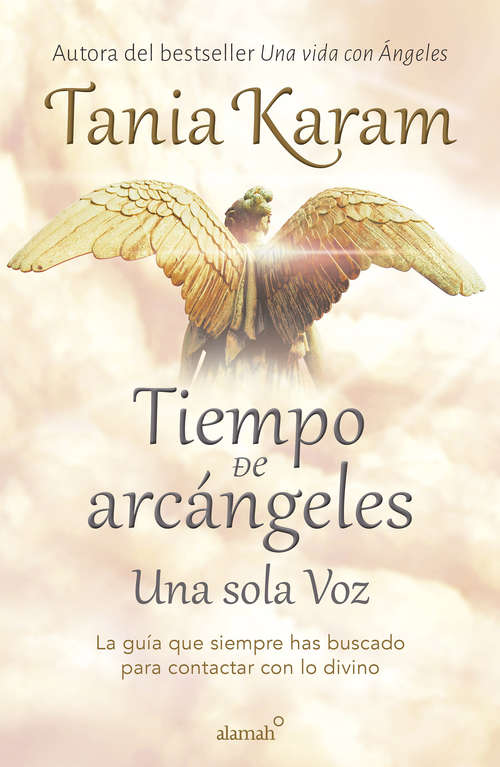 Book cover of Tiempo de Arcángeles
