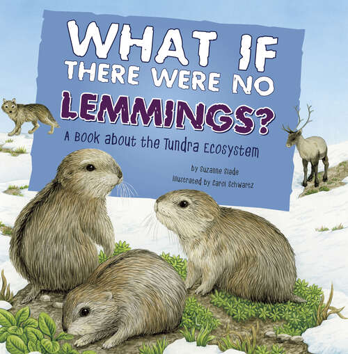 Book cover of What If There Were No Lemmings?: A Book About The Tundra Ecosystem (Food Chain Reactions Ser.)