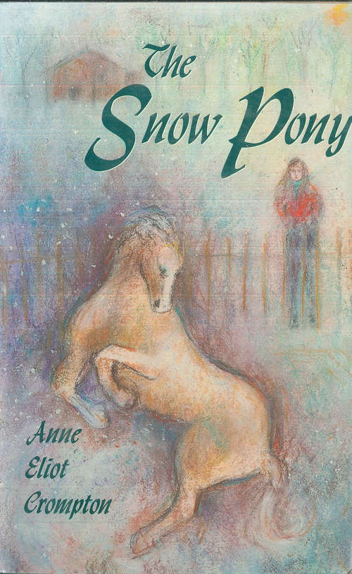 Book cover of The Snow Pony