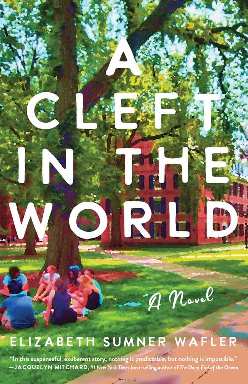 Book cover of A Cleft in the World: A Novel