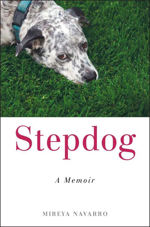 Book cover of Stepdog