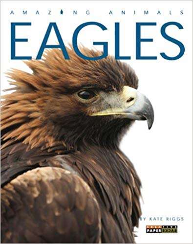 Book cover of Eagles (Amazing Animals)