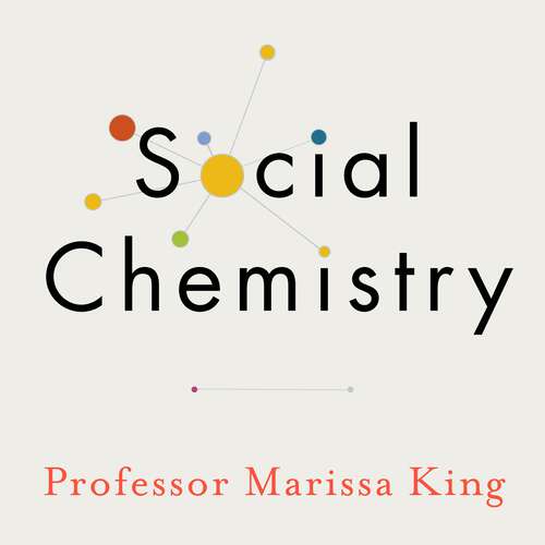 Book cover of Social Chemistry: Decoding the Patterns of Human Connection