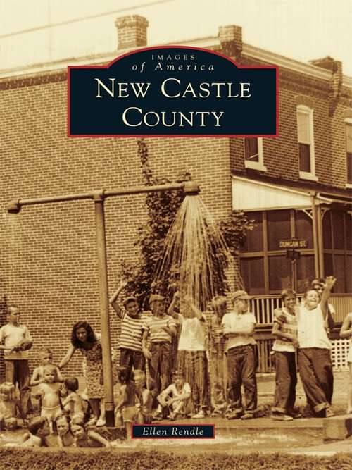 Book cover of New Castle County