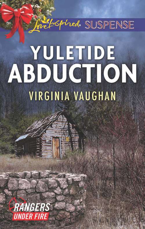 Book cover of Yuletide Abduction