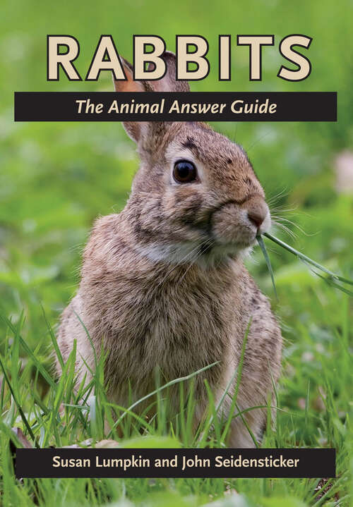 Book cover of Rabbits: The Animal Answer Guide (The Animal Answer Guides: Q&A for the Curious Naturalist)