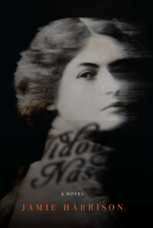 Book cover of The Widow Nash: A Novel