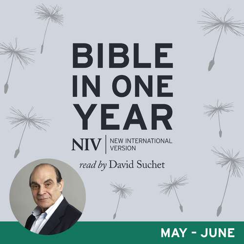 Book cover of NIV Audio Bible in One Year: read by David Suchet (New International Version)