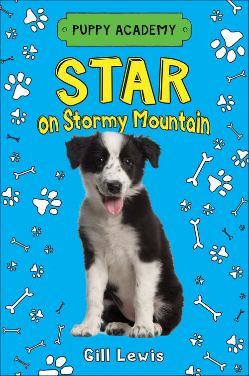 Book cover of Star on Stormy Mountain (Puppy Academy #2)